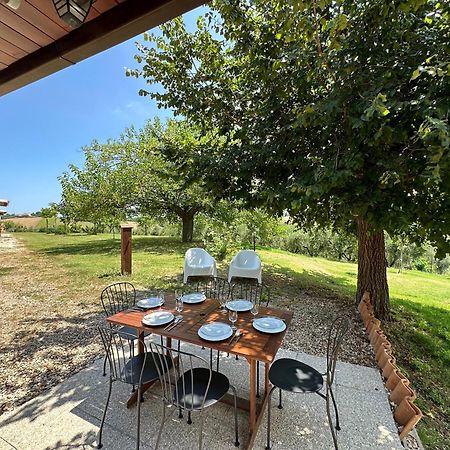 Casale Casini Soccorso Guest House Senigallia Exterior photo