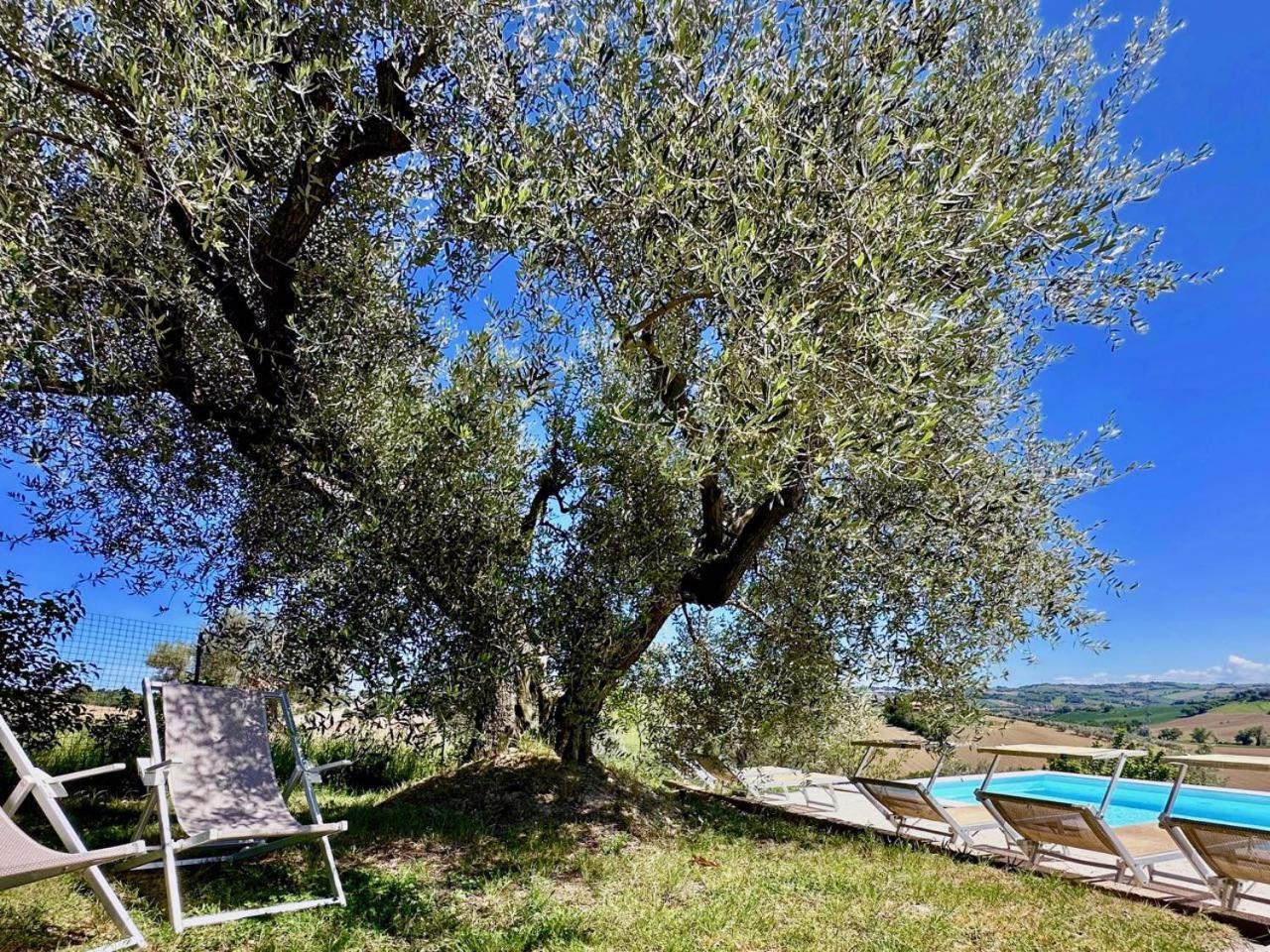 Casale Casini Soccorso Guest House Senigallia Exterior photo