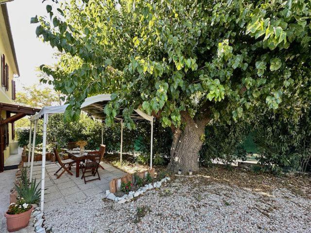 Casale Casini Soccorso Guest House Senigallia Room photo